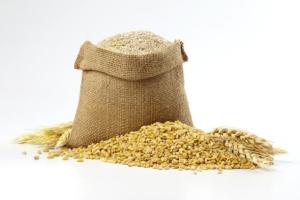 Food security technologies set to blossom